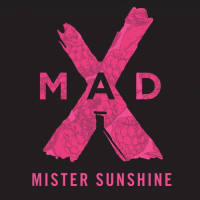 Пиво Mister Sunshine
