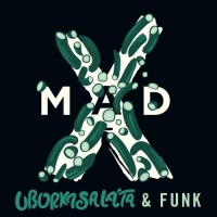 Пиво Uborkasaláta & Funk