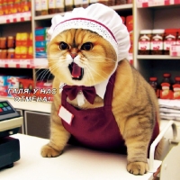 Пиво Галя, у нас отмена!