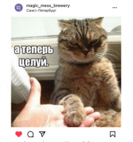 Пиво KISS ME Пиво KISS ME