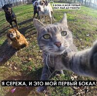 Пиво Первый Бокал