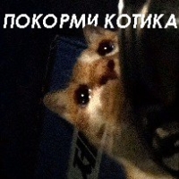 Пиво Покорми котика Пиво Покорми котика