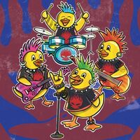 Пиво The Duck Spring