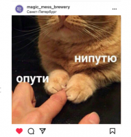 Пиво TOUCH ME