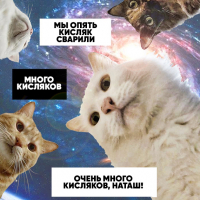 Пиво Wake Up, Natasha!