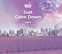 Пиво Just Calm Down