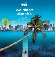 Пиво We Didn't Plan This