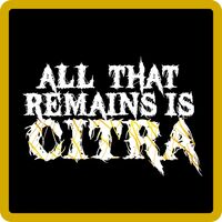 Пиво All That Remains Is Citra