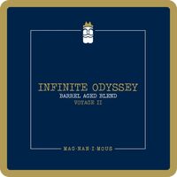 Пиво Infinite Odyssey - Voyage II