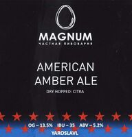 Пиво American Amber Ale