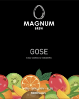 Пиво MAGNUM GOSE Kiwi, Mango And Tangerine