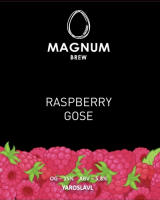 Пиво MAGNUM RASPBERRY GOSE