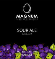 Пиво MAGNUM SOUR ALE Black Currant