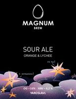 Пиво Magnum Sour Ale (Orange & Lychee)