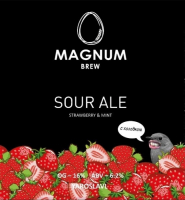 Пиво MAGNUM SOUR ALE Strawberry & Mint