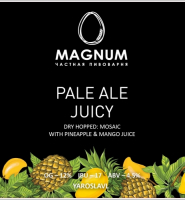 Пиво Pale Ale Juicy