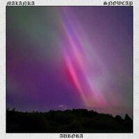 Пиво Aurora