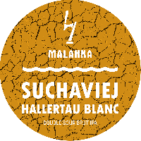 Пиво Suchaviej: Hallertau Blanc Пиво Suchaviej: Hallertau Blanc