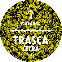 Пиво Trasca: Citra Пиво Trasca: Citra