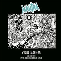 Пиво Wrong Paradigm: Apple, Aronia, Blood Orange & Yuzu