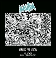 Пиво Wrong Paradigm: Banana, Feijoa & Pineapple