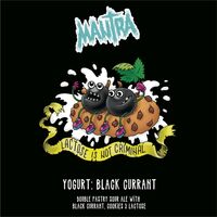 Пиво Yogurt: Black Currant