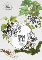 Пиво Draft Berry Лесные ягоды