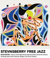 Пиво Stevnsberry Free Jazz Пиво Stevnsberry Free Jazz