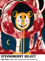 Пиво Stevnsberry Select (2019)