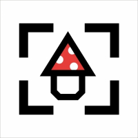 Пиво Hazing Me Softly