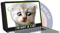 Пиво I'm Not A Cat Пиво I'm Not A Cat