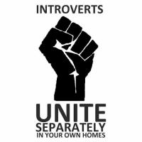 Пиво Mandated Introvert
