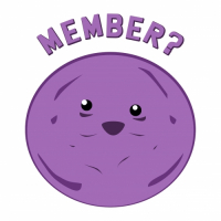 Пиво Member Berries