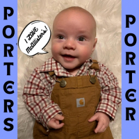 Пиво Porter's Porter