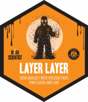 Пиво Layer Layer