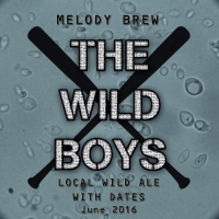 Пиво The Wild Boys