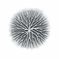 Пиво смузи надоели.