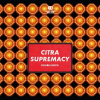 Пиво Citra Supremacy Пиво Citra Supremacy