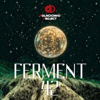 Пиво Ferment 42