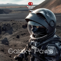 Пиво Galaxy Paws Пиво Galaxy Paws