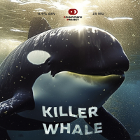 Пиво Killer Whale Пиво Killer Whale