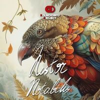Пиво Nestor Notabilis Пиво Nestor Notabilis