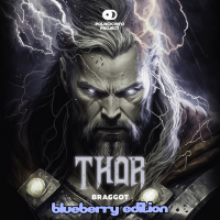 Пиво THOR - Blueberry Edition Пиво THOR - Blueberry Edition