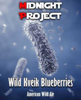 Пиво WKB (Wild Kveik Blueberries) Пиво WKB (Wild Kveik Blueberries)