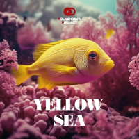 Пиво Yellow Sea Пиво Yellow Sea