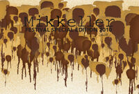 Пиво Festival Special Edition 2010 – Stella 1