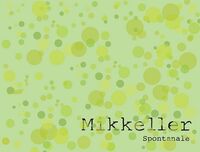 Пиво Jonge Spontanale 4 Month