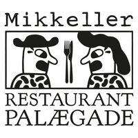 Пиво Mikkeller X Palægade