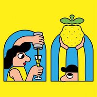 Пиво Sally's Seltzer