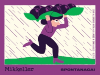 Пиво SpontanAcai